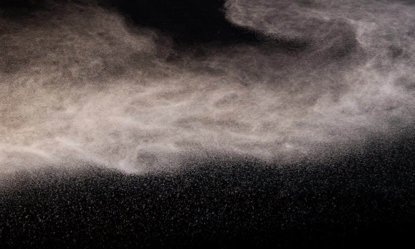 Particulate matter